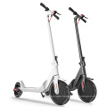 Luvgogo Free shipping Free Tax Wholesale Dropshipping  Cheap Scooter Electrique Hot sale 250w